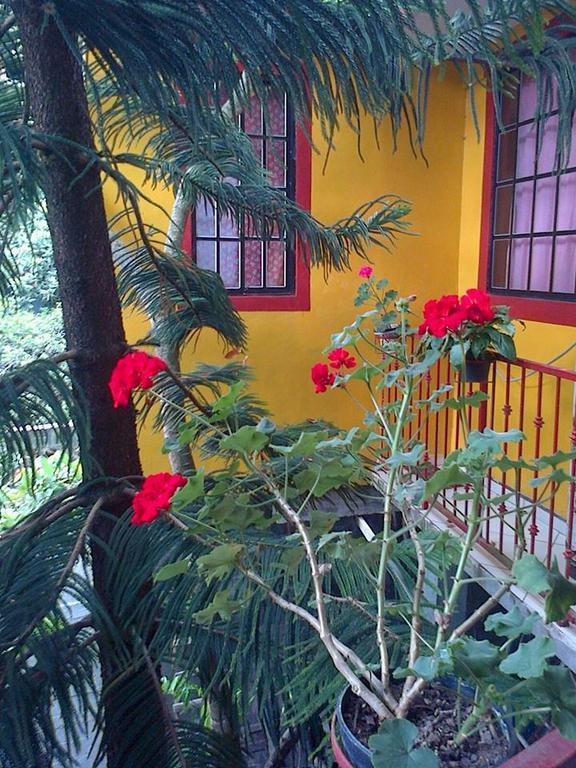 Posada Familiar El Dorado Xilitla Exterior photo
