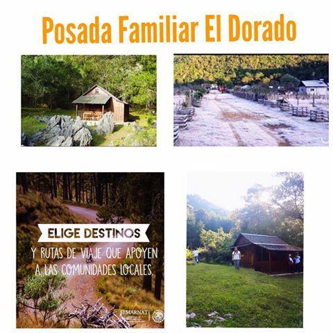 Posada Familiar El Dorado Xilitla Exterior photo